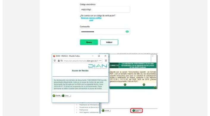 Actualización del RUT