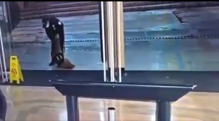 guarda de seguridad y perro guarda de seguridad y perro