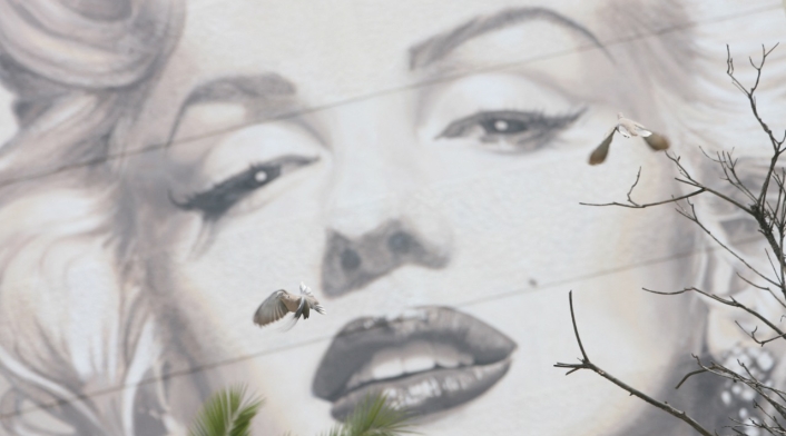 Marilyn Monroe Marilyn Monroe