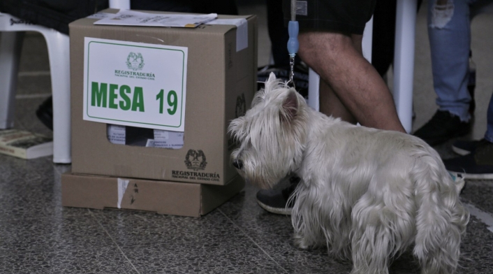 Mascotas en elecciones Mascotas en elecciones