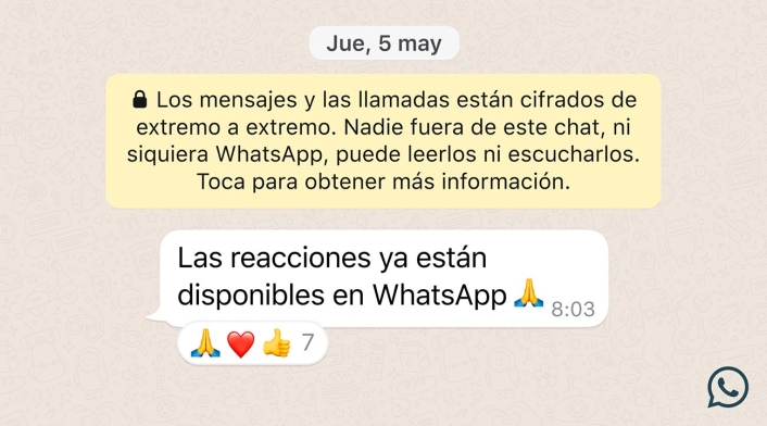 Reacciones en chats de WhatsApp Reacciones en chats de WhatsApp