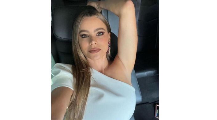 Sofía Vergara usó vestido de baño animal print cerca de los 50 años Sofía Vergara usó vestido de baño animal print cerca de los 50 años