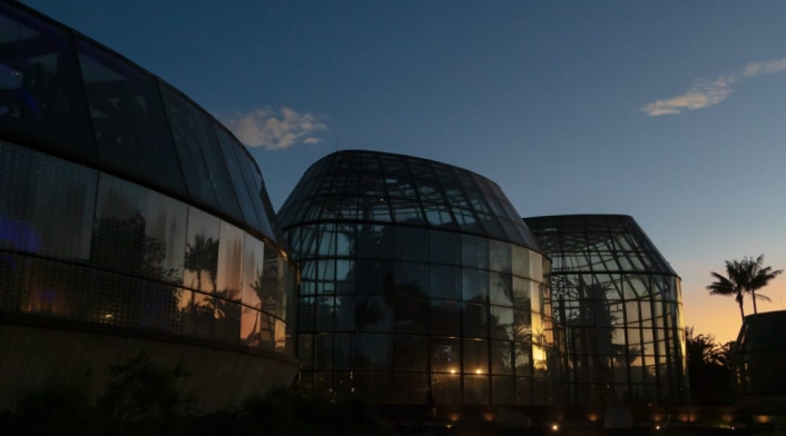 Jardín Botánico de noche