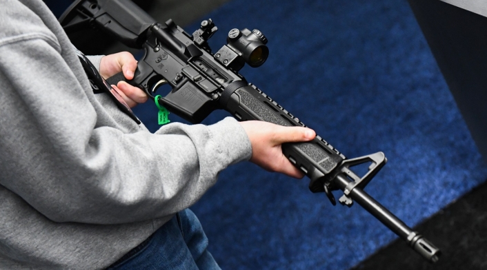 Armas Estados Unidos