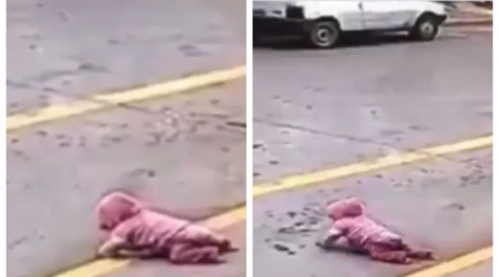 Bebé gateando Bebé gateando
