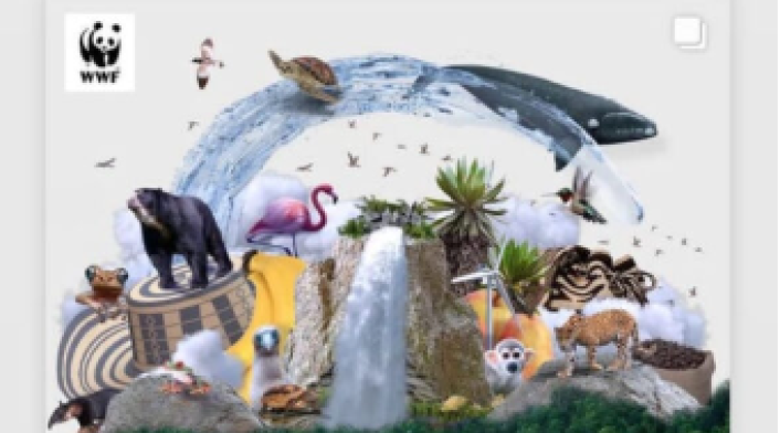 Claudia Bahamón y su publicación para cuidar el medio ambiente