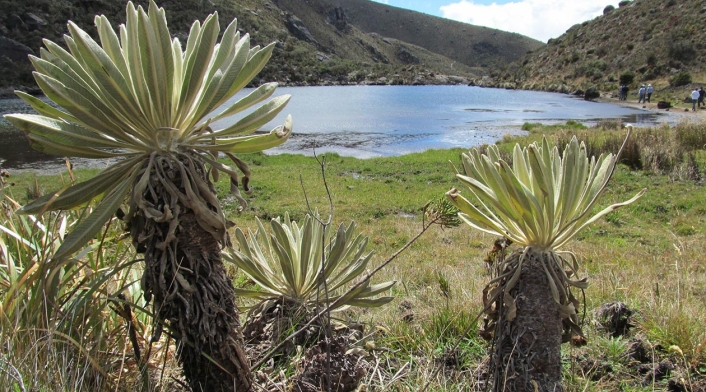 Páramo de Santurbán Páramo de Santurbán
