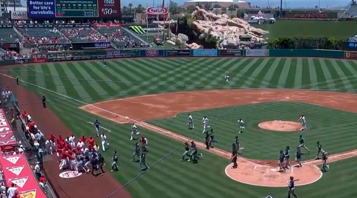 Video de pelea en la MLB Video de pelea en la MLB