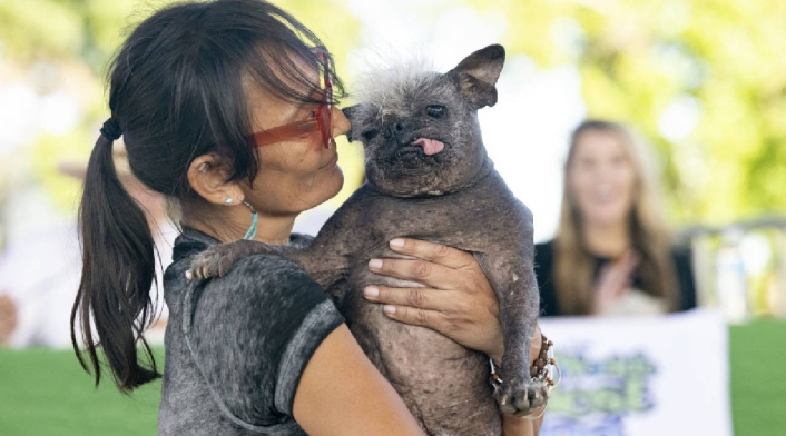 'Sr. Rostro Feliz', el perro más feo del mundo