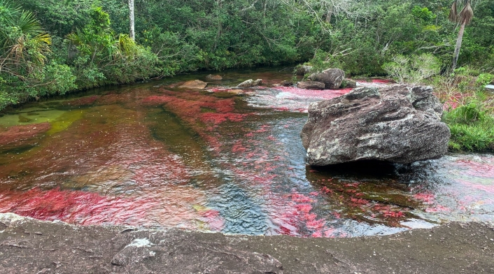 Caño Cristales Caño Cristales