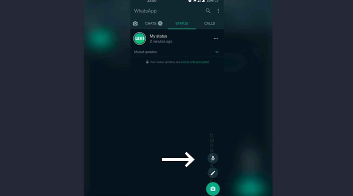 Audios en estados de WhatsApp Así lucirían los audios en estados de WhatsApp