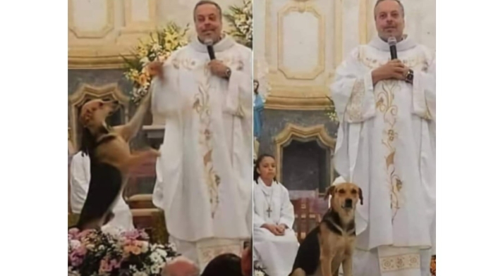 Sacerdote rescata perros, los baña y los da en adopción en plena misa