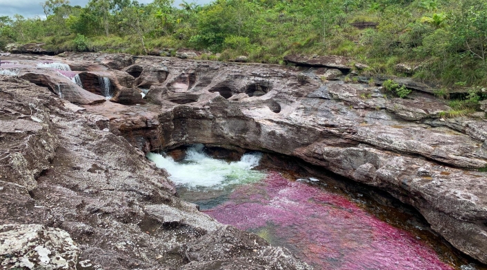 Caño Cristales-los ochos Caño Cristales-los ochos