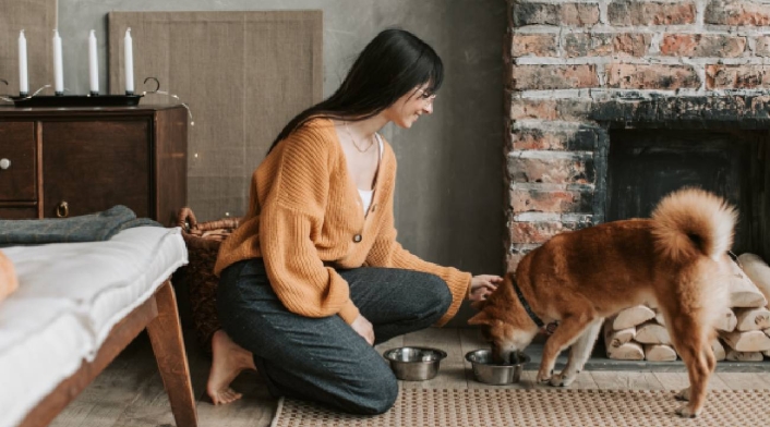 Hoteles petfriendly Hoteles petfriendly