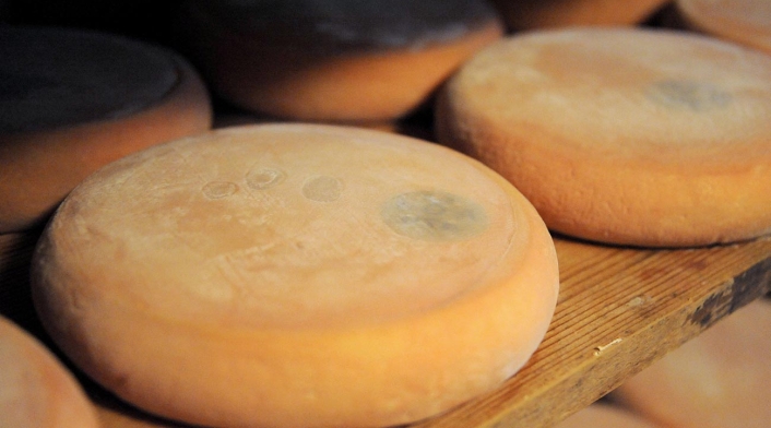 Queso reblochon, famoso producto francés Queso reblochon, famoso producto francés