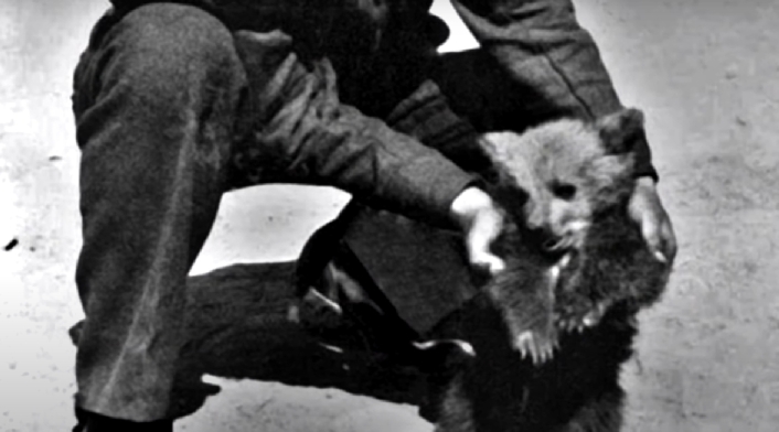 Wojtek el oso soldado Wojtek el oso soldado