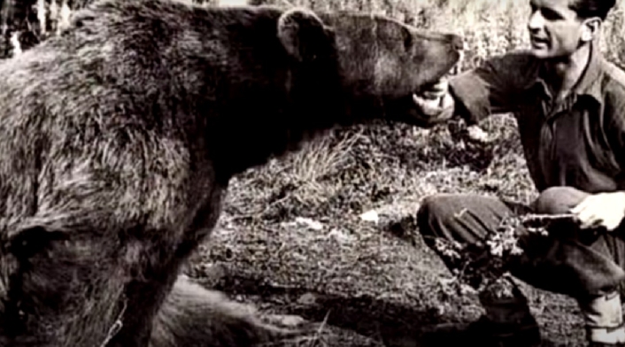 Wojtek el oso soldado Wojtek el oso soldado
