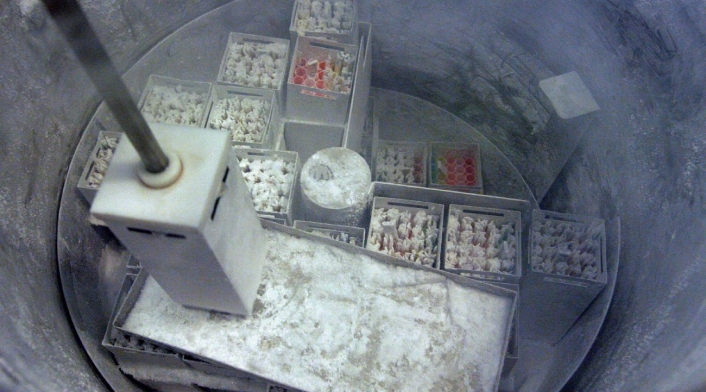 muestras de semen Muestras de semen