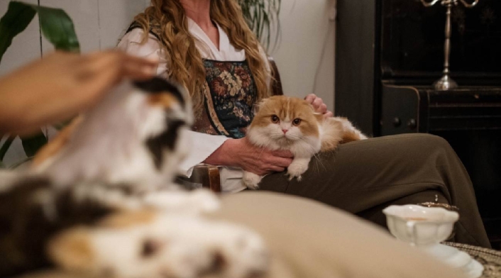 Consejos para afrontar la muerte de su mascota Consejos para afrontar la muerte de su mascota