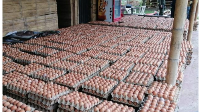 Más de 90.000 huevos fueron encontrados por la Policía Nacional