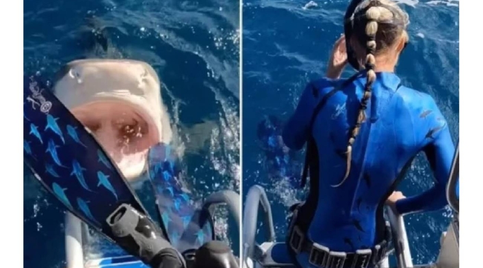 Mujer casi cae en la boca de un tiburón en Hawaii Mujer casi cae en la boca de un tiburón en Hawaii