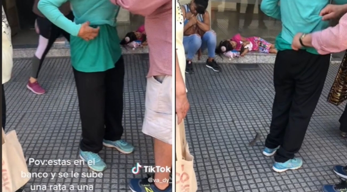 El ratón salió corriendo y causó temor a las personas Ratón estaba entre la ropa de la mujer