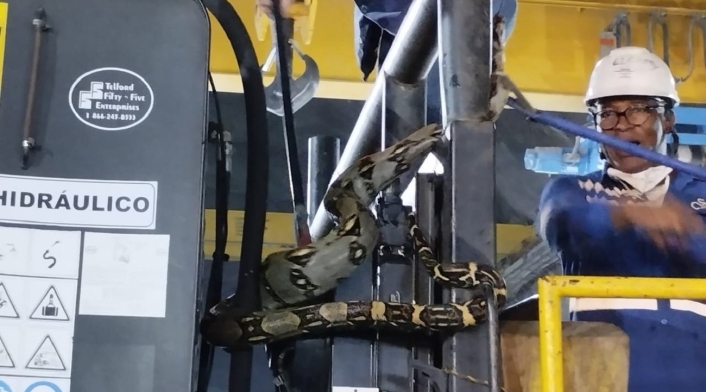 Serpiente casa de máquinas Hidroituango