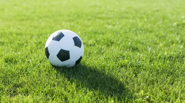 Balón de fútbol Balón de fútbol