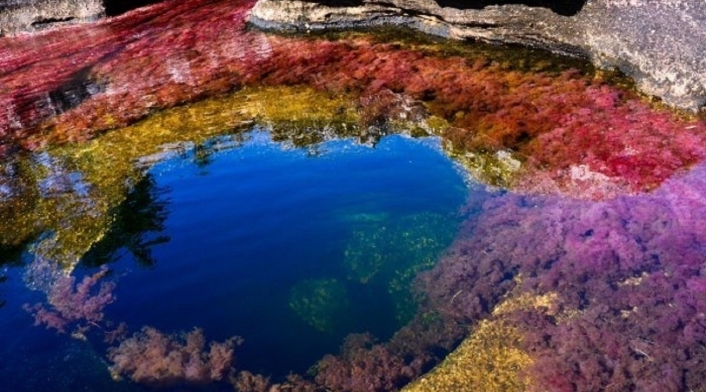 Caño Cristales Caño Cristales