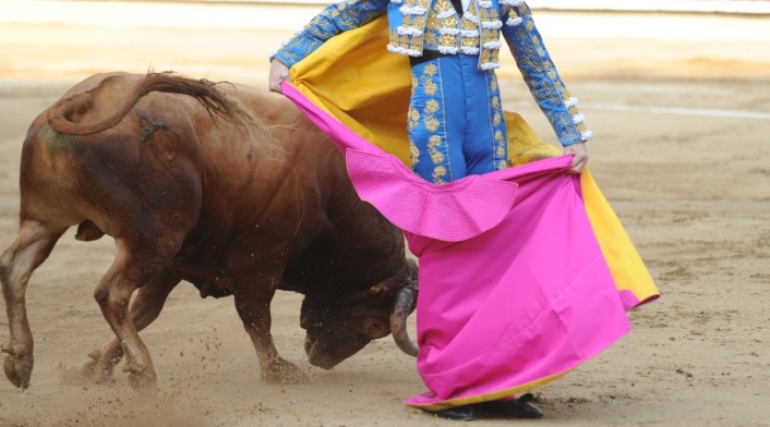 Corridas de toros: proyecto fue aprobado en el senado Proyecto que prohíbe corridas de toros está a un paso de ser ley