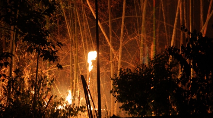 Incendio forestal Incendio forestal
