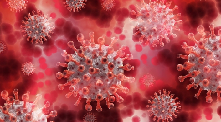 Virus desde el microscopio Virus desde el microscopio