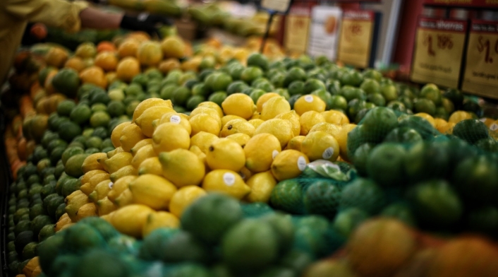 Alimentos Alimentos