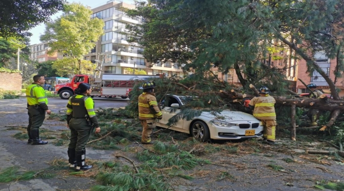 Árbol caído en Bogotá