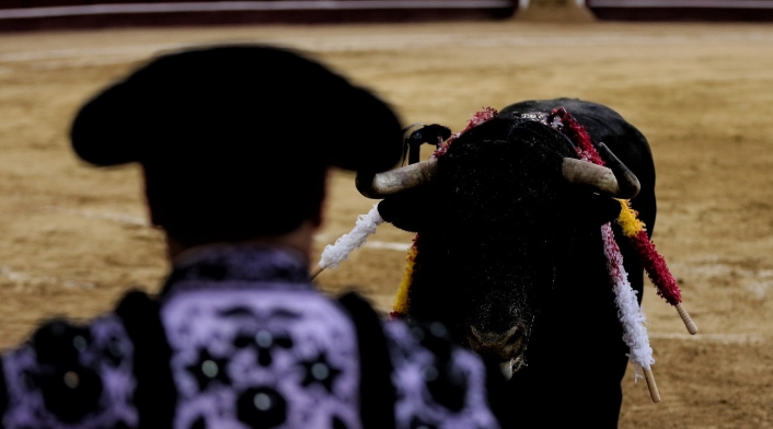 Corridas de toros en Bogotá Corridas de toros en Bogotá