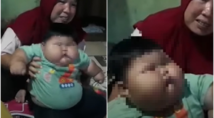 Bebé de 16 meses que pesa igual que un niño de 8 años Bebé de 16 meses que pesa igual que un niño de 8 años