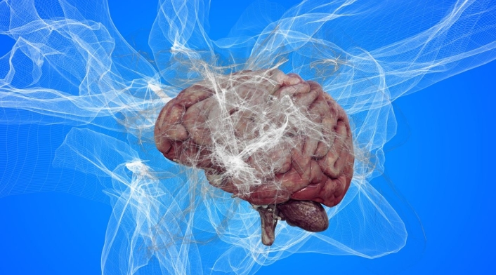 Cerebro humano Imagen de un cerebro humano