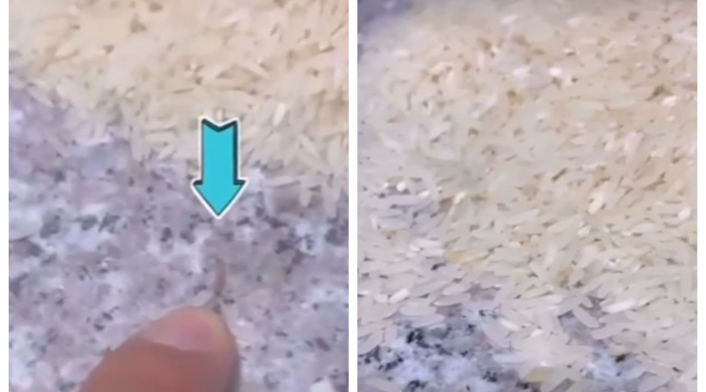 Gusanos en bolsa de arroz de actor de Padres e Hijos Gusanos en bolsa de arroz de actor de Padres e Hijos