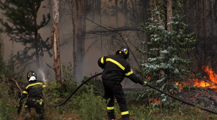 Incendio forestal en Chile Incendio forestal en Chile