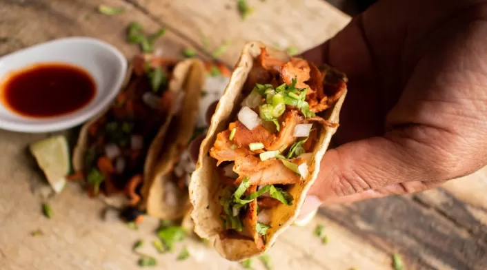 Taco Fest Taco Fest