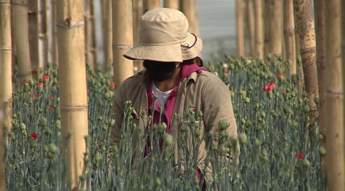 Campesinas en Colombia Mujeres rurales