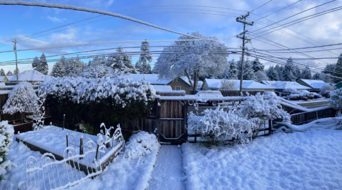 California azotada por una tormenta: cientos de casas 'enterradas' bajo la nieve California azotada por una tormenta: cientos de casas 'enterradas' bajo la nieve