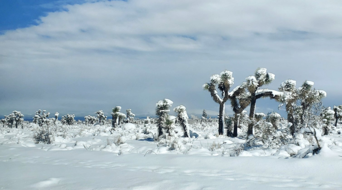 California azotada por una tormenta: cientos de casas 'enterradas' bajo la nieve California azotada por una tormenta: cientos de casas 'enterradas' bajo la nieve