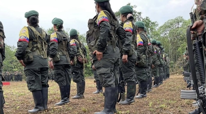 Disidencias de las FARC
