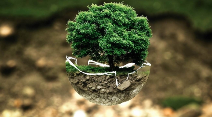 Medio ambiente Medio ambiente