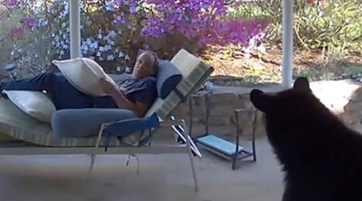 Oso sorprende a hombre en su casa Oso sorprende a hombre en su casa