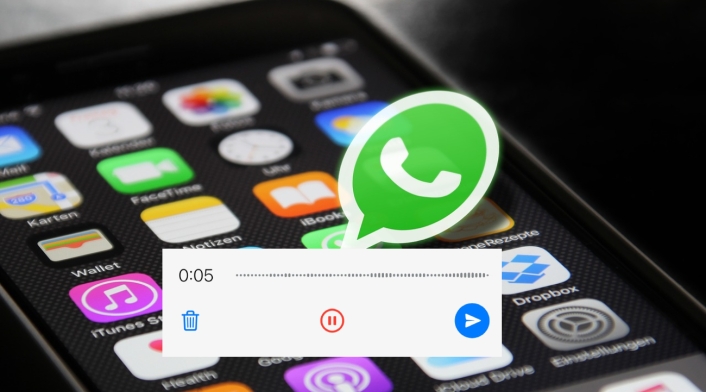 Notas de voz de WhatsApp Notas de voz de WhatsApp