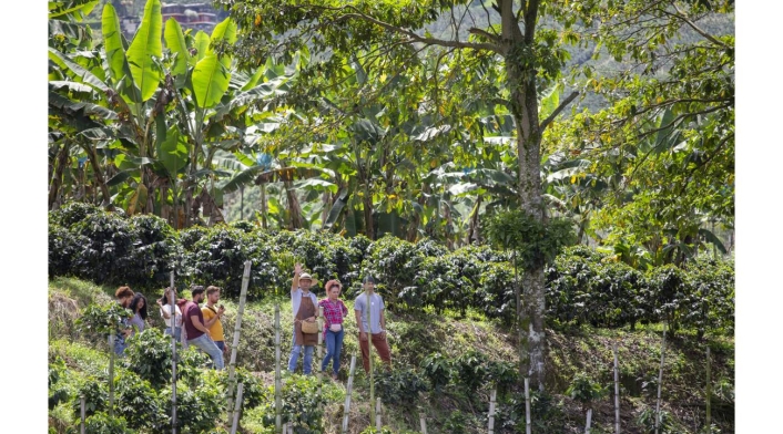 Perdernos las maravillas de Caldas, un riesgo que no podemos correr Perdernos las maravillas de Caldas, un riesgo que no podemos correr