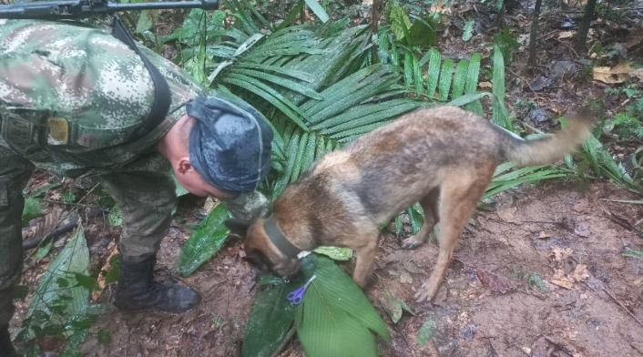 Ulises, el perro que ayudó a localizar el rastro de los niños Ulises, el perro que ayudó a localizar el rastro de los niños