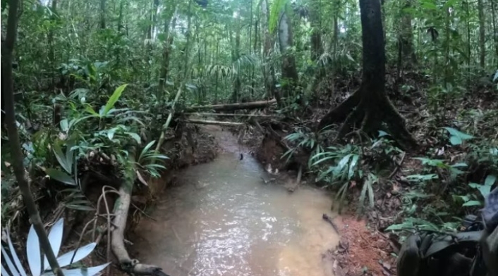 Zona de búsqueda de menores en Guaviare
